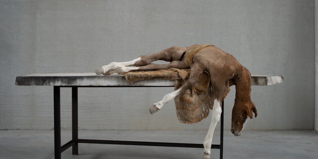 Berlinde De Bruyckere, Lost V, 2021-2022, photo: Mirjam Devriendt