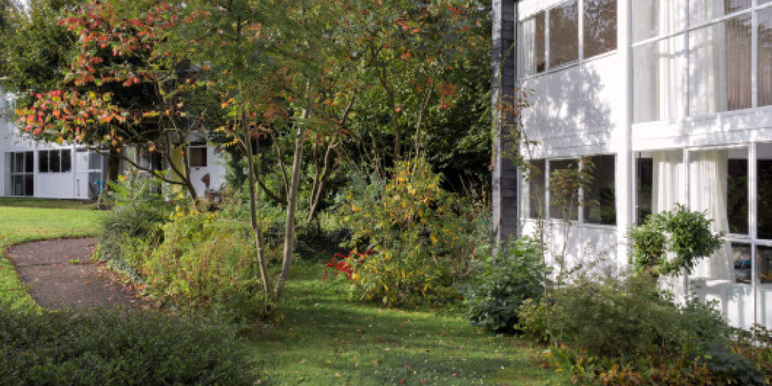 Jardin