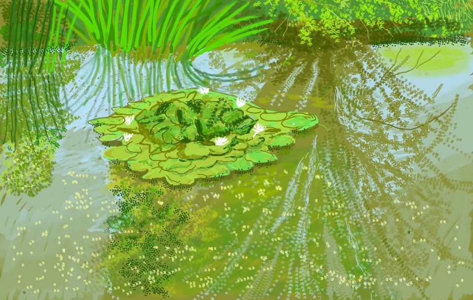 Ipad painting of a pond with lilies by David Hockney