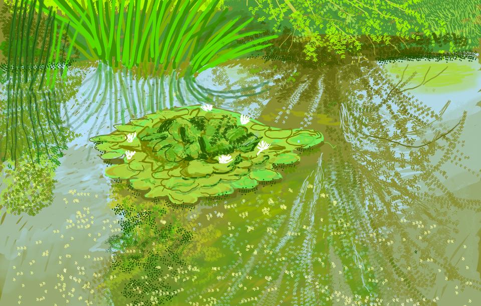 Ipad painting of a pond with lilies by David Hockney