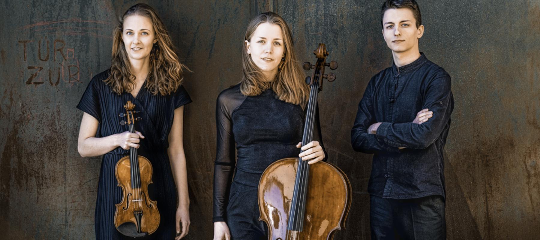 Amelio Trio - ECHO Rising Star