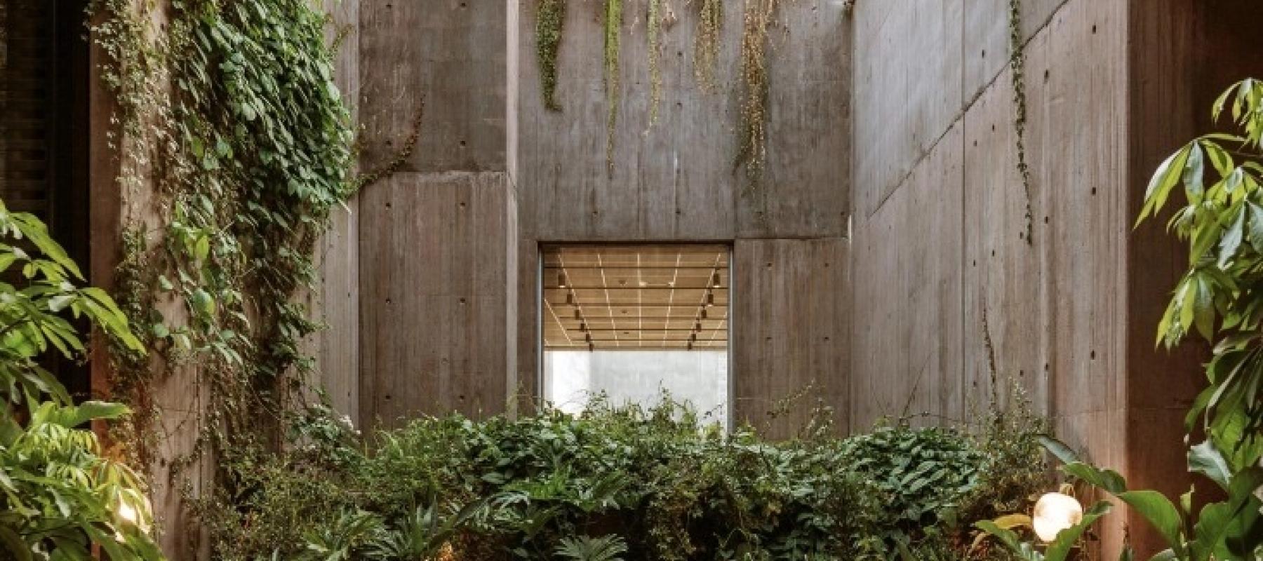 Meet the Architect: Tatiana Bilbao