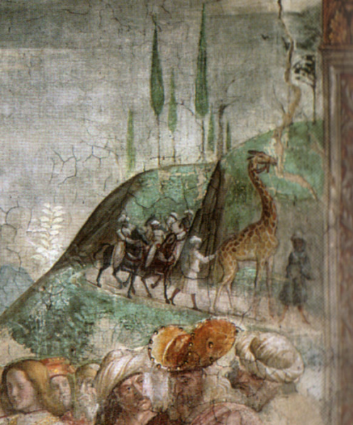 Une girafe représentée dans L'Adoration des mages de Domenico Ghirlandaio entre 1485 et 1490. © creative commons
