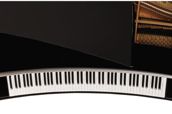 Piano Maene-Vinoly