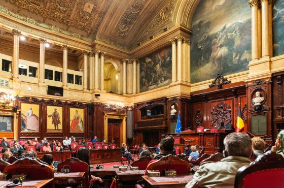 De Belgische Senaat tijdens Het Schrijversparlement