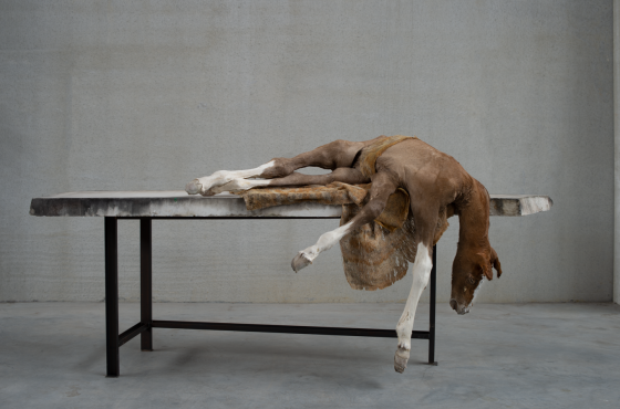 Berlinde De Bruyckere, Lost V, 2021-2022, photo: Mirjam Devriendt